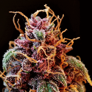 Fire Alien Strawberry