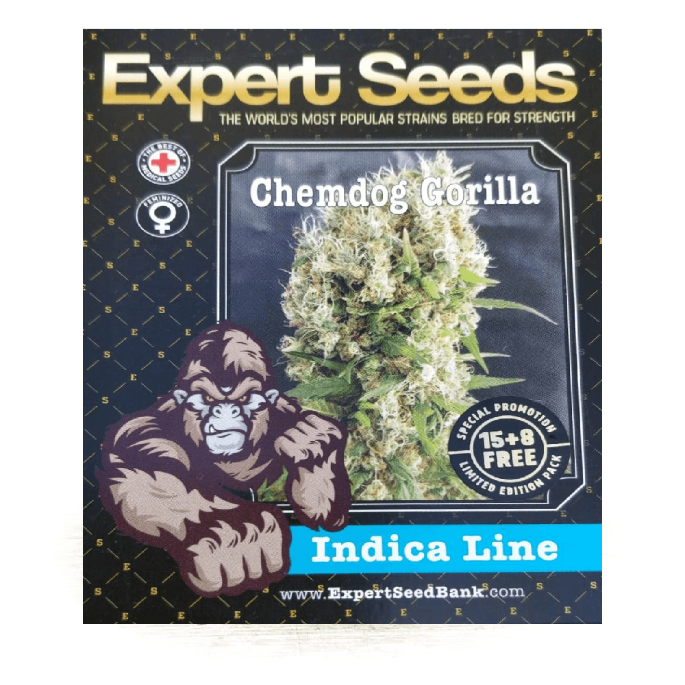 Chemdog Gorilla Seeds