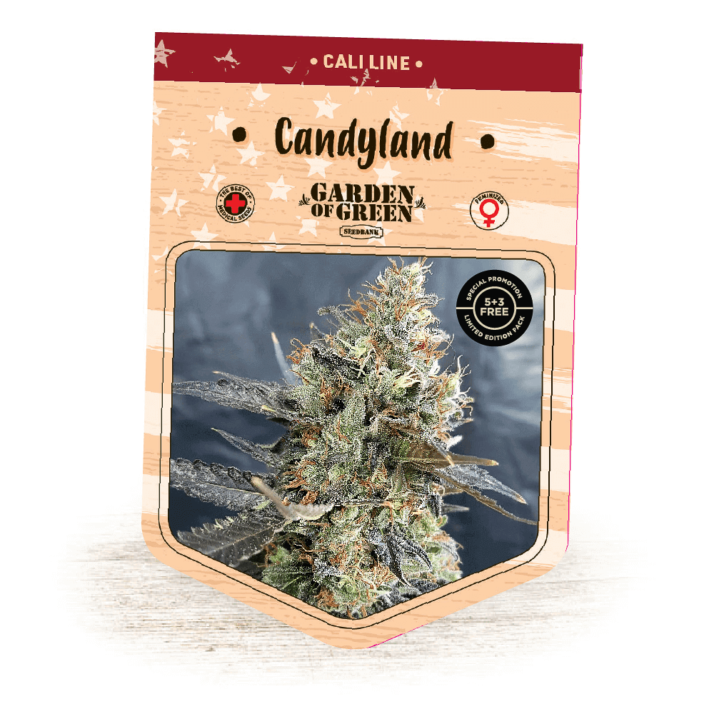Candyland Seeds