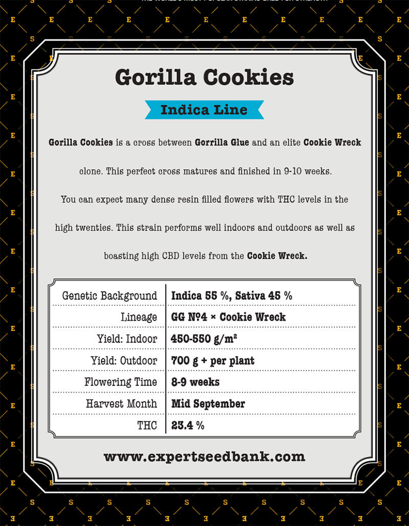 Gorilla Cookies Seeds - Image 3