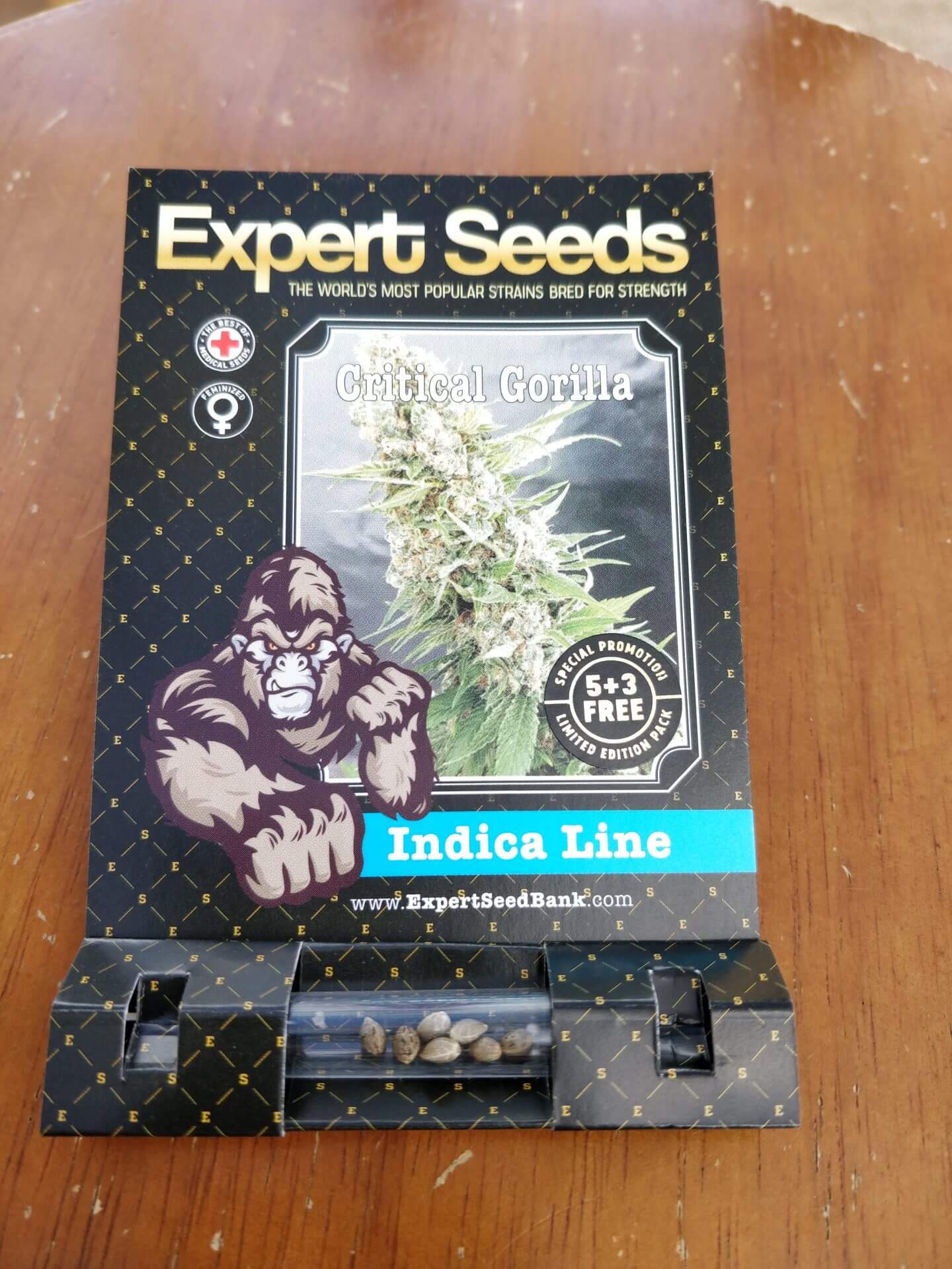 Critical Gorilla Seeds - Image 2