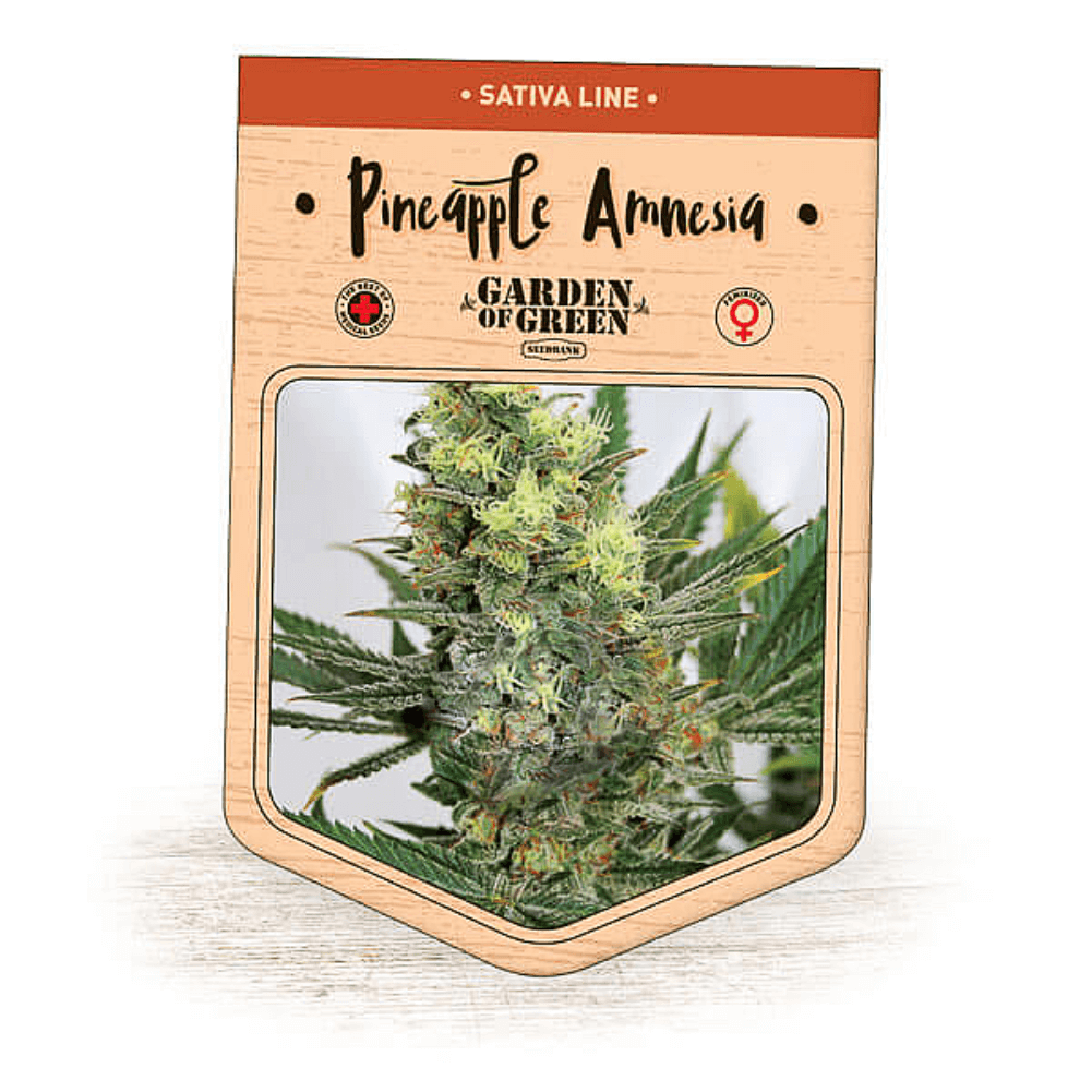 Pineapple Amnesia Seeds
