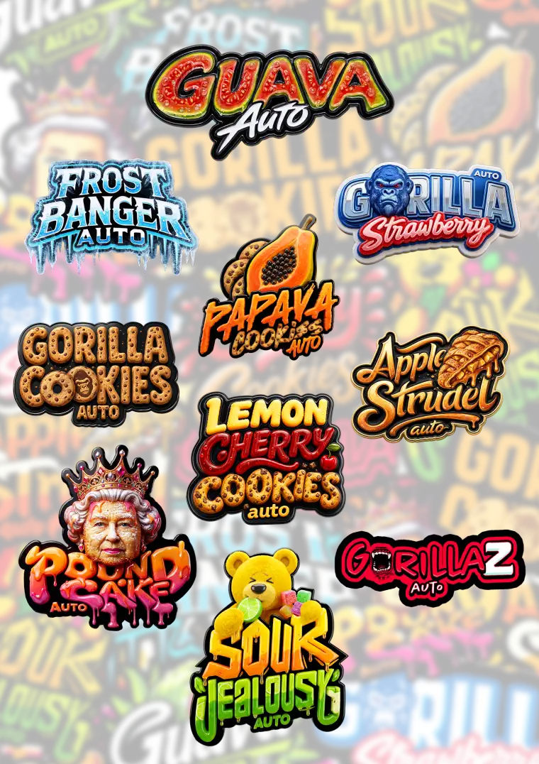 Mix Pack Auto