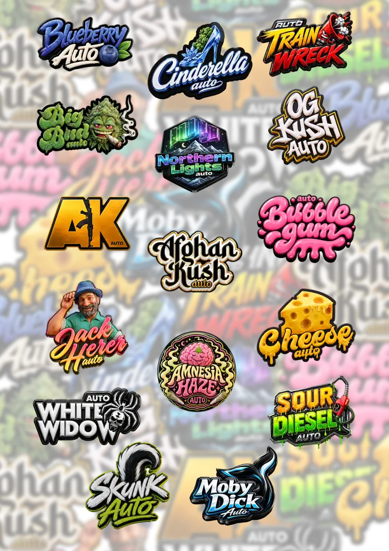 Originals Mix Auto
