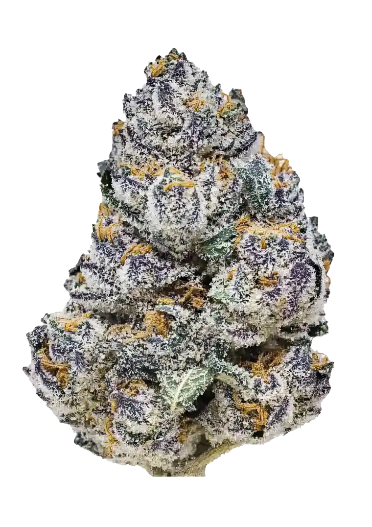 Rainbow Melon?